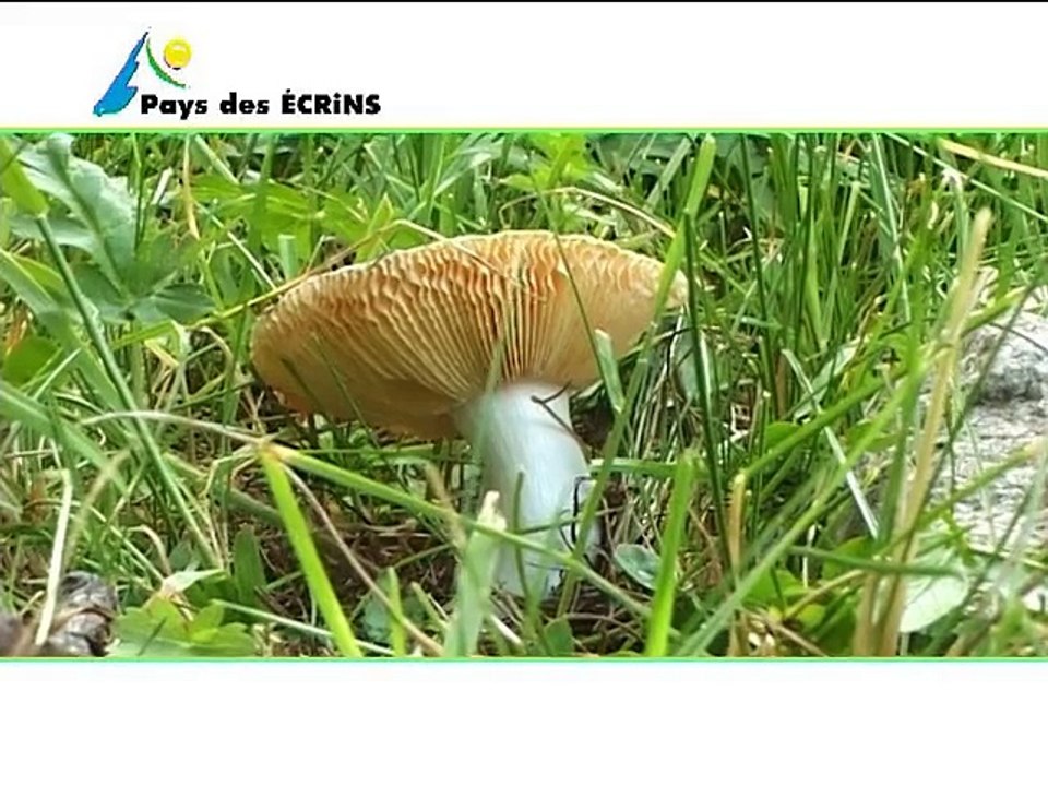 Pays des Ecrins-Hautes Alpes