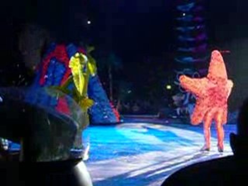 spectacle de nemo le 14/12/2008