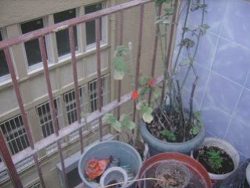 BEYOĞLUNDA UYGUN DAİRE VE TARİHİ BİNALAR.