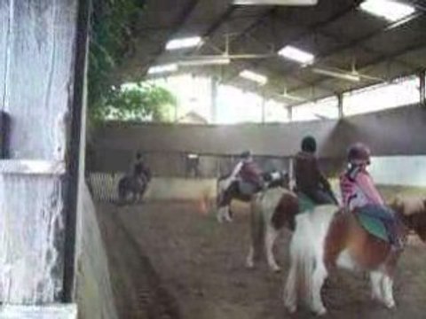 Bérénice : 1er galop sur Georges