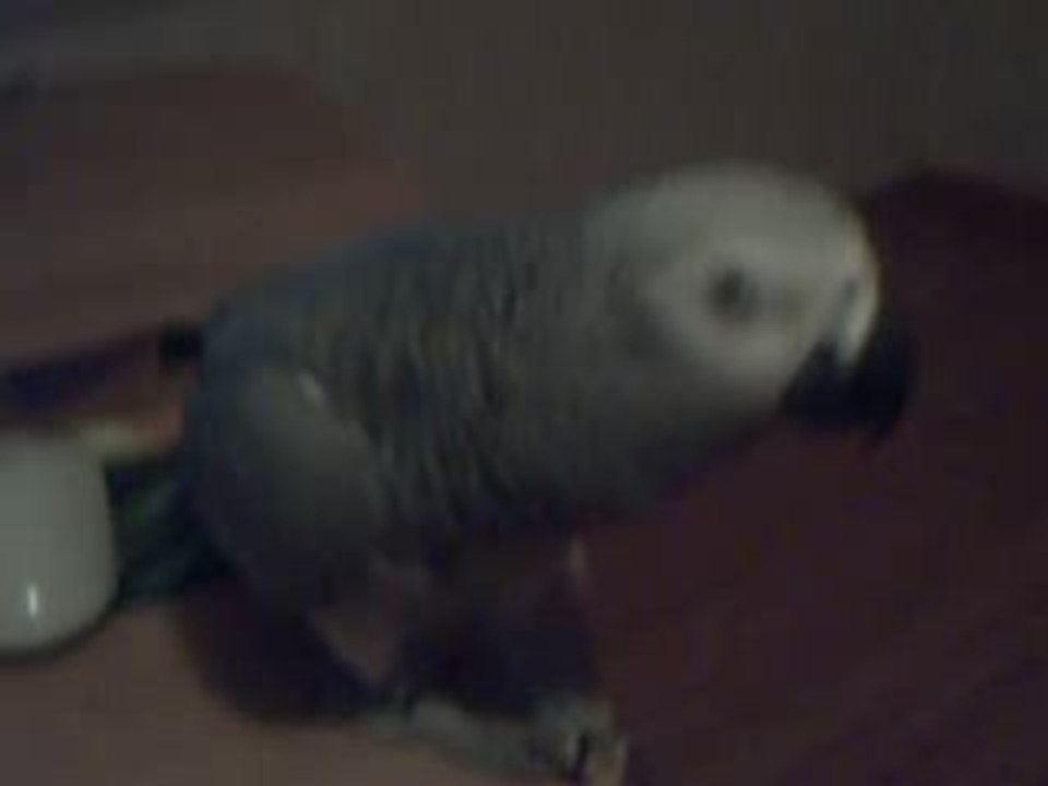 Miko se gratte et dit "ça gratte"