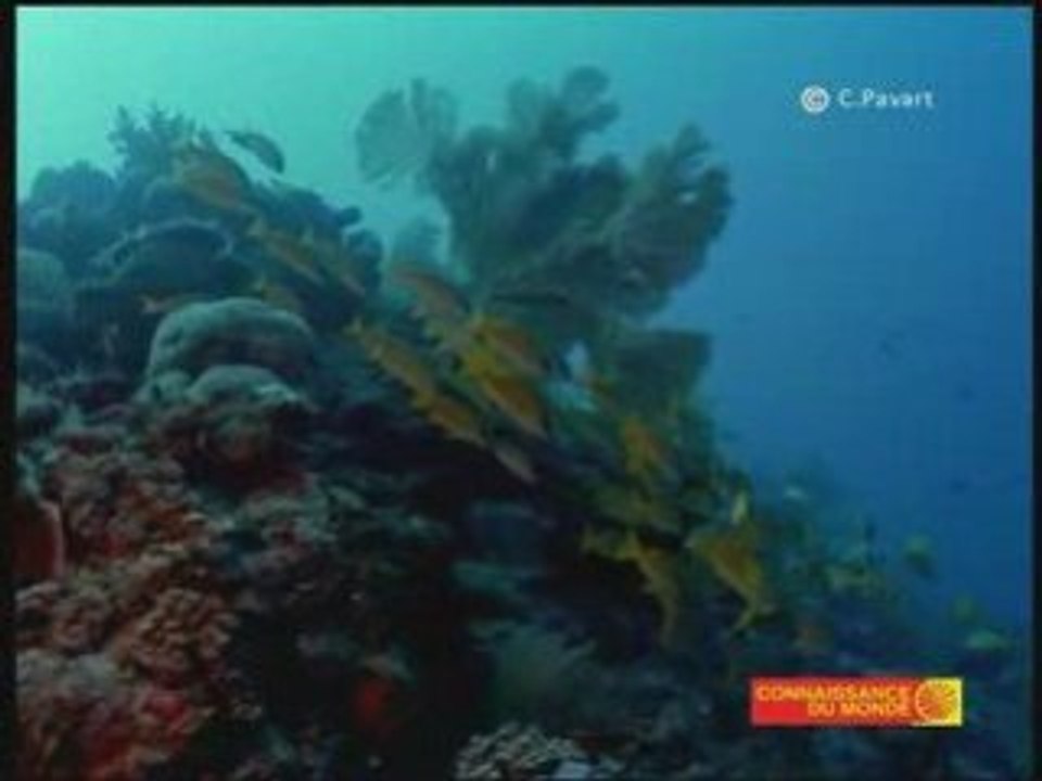 CONNAISSANCE du MONDE "Seychelles Maurice" de Claude Pavard