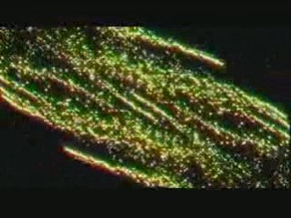 CLUB ROCK / SONY JAPAN / Q ENTERTAINMENT