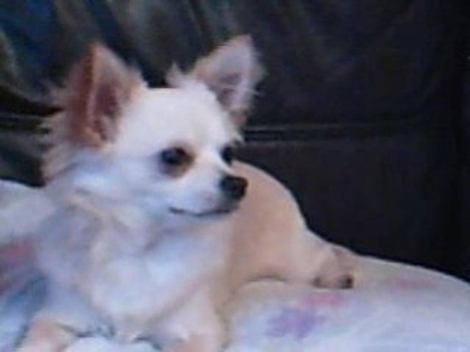 Denver d'amour (L)