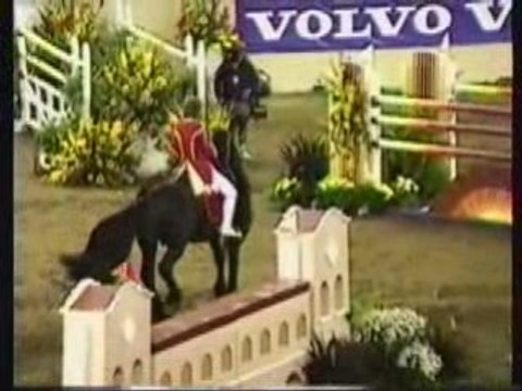 America's 1st Dancing Friesian Stallion