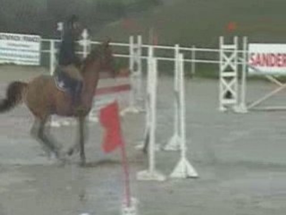 hongre 6 ans Papillon Rouge