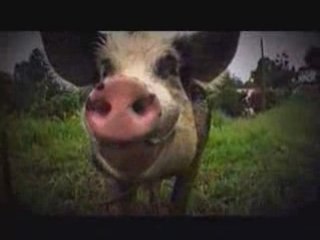 [NWEL 2008] Fernand Marlu / La Ribote - Grajé Coco