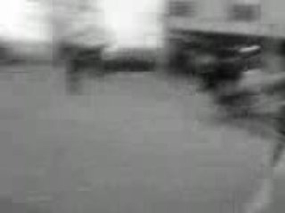 Jess ki fé l'aigle avec un bruit de taré