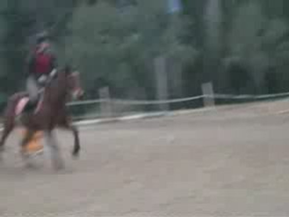 Moskino en saut