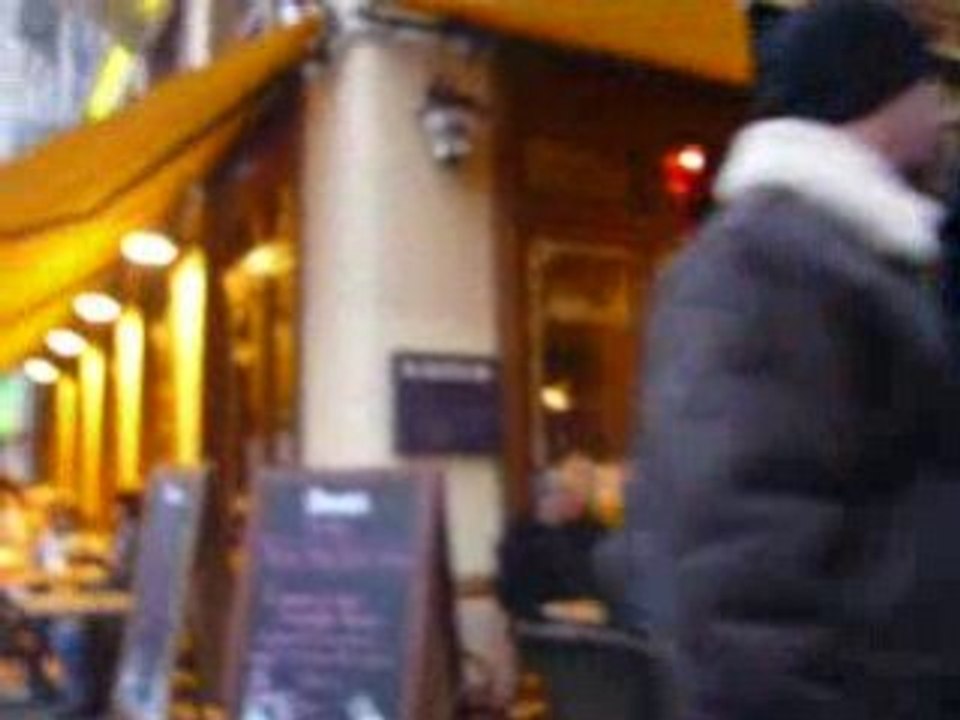 Il est gentil le pti chien chien lol