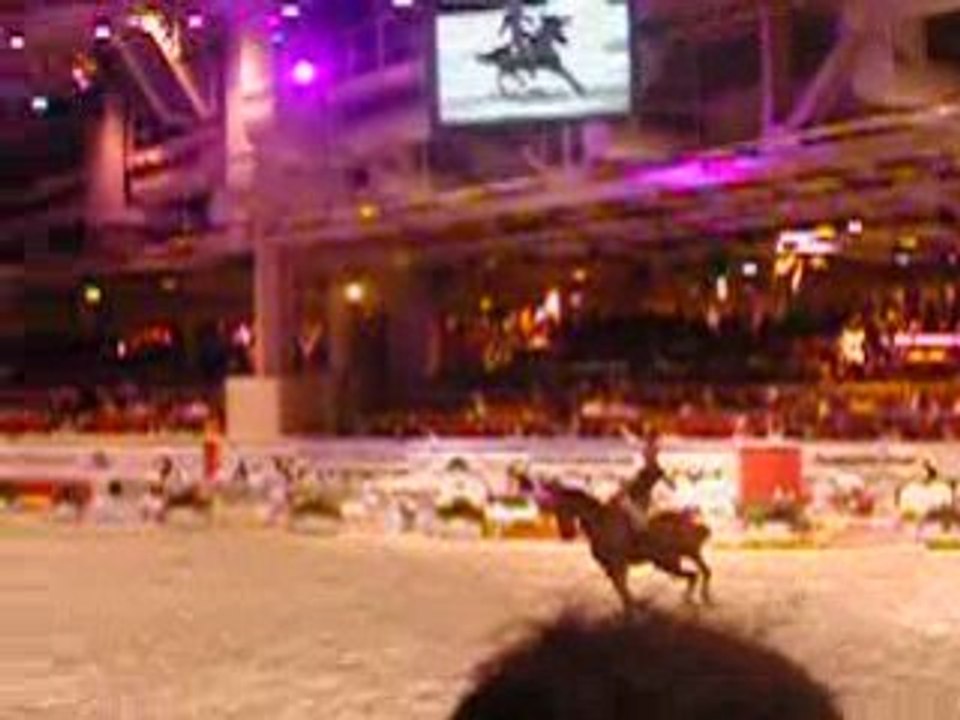 Salon du cheval 2008. Démonstration de Doma Vaquera