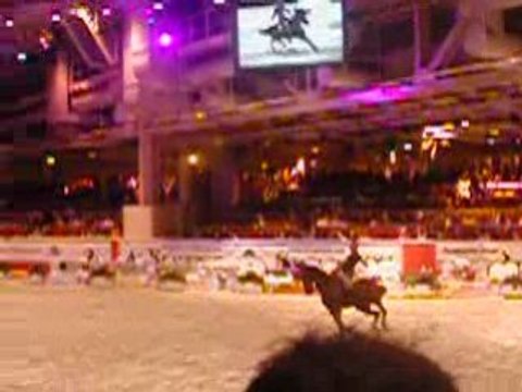 Salon du cheval 2008. Démonstration de Doma Vaquera