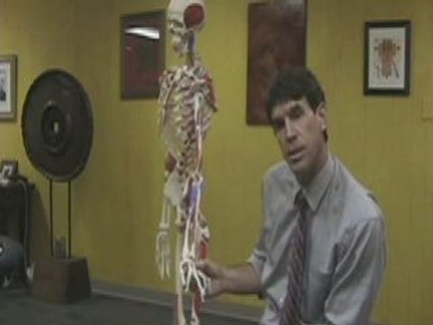 Rolfing 3-Certified Rolfing Fort Worth-Dallas,TX.