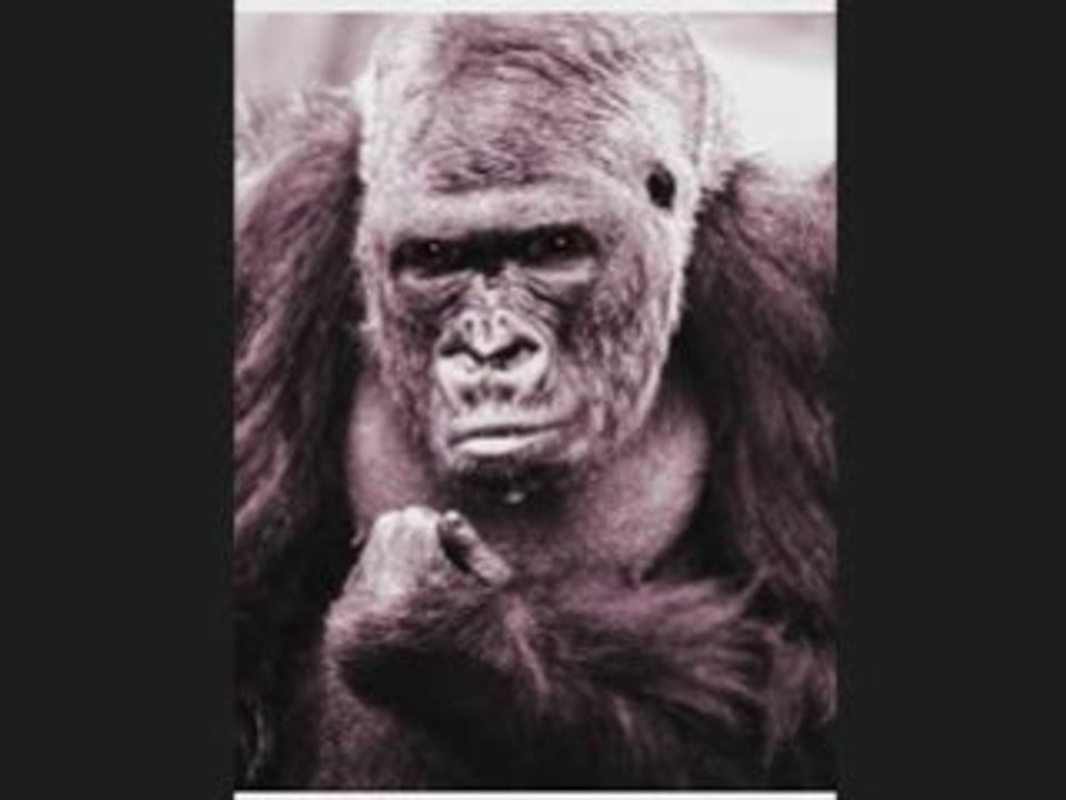 WORLD'S GREATEST THRILL PART ONE