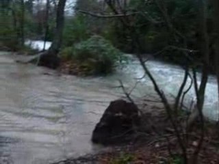 Torrent du Fauge à Gémenos (13) le 15 décembre 2008