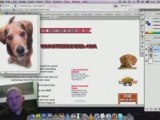 Photoshop Tutorial - Creating Sad Puppy D