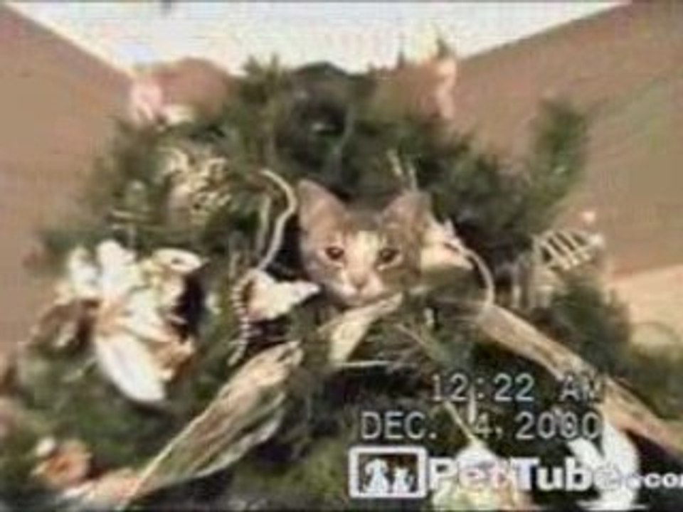 Extra Large Ornament