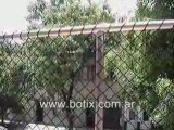 www.botix.com.ar Proteccion de chicos en balcones sin techo