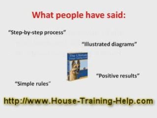 Potty Training your dog