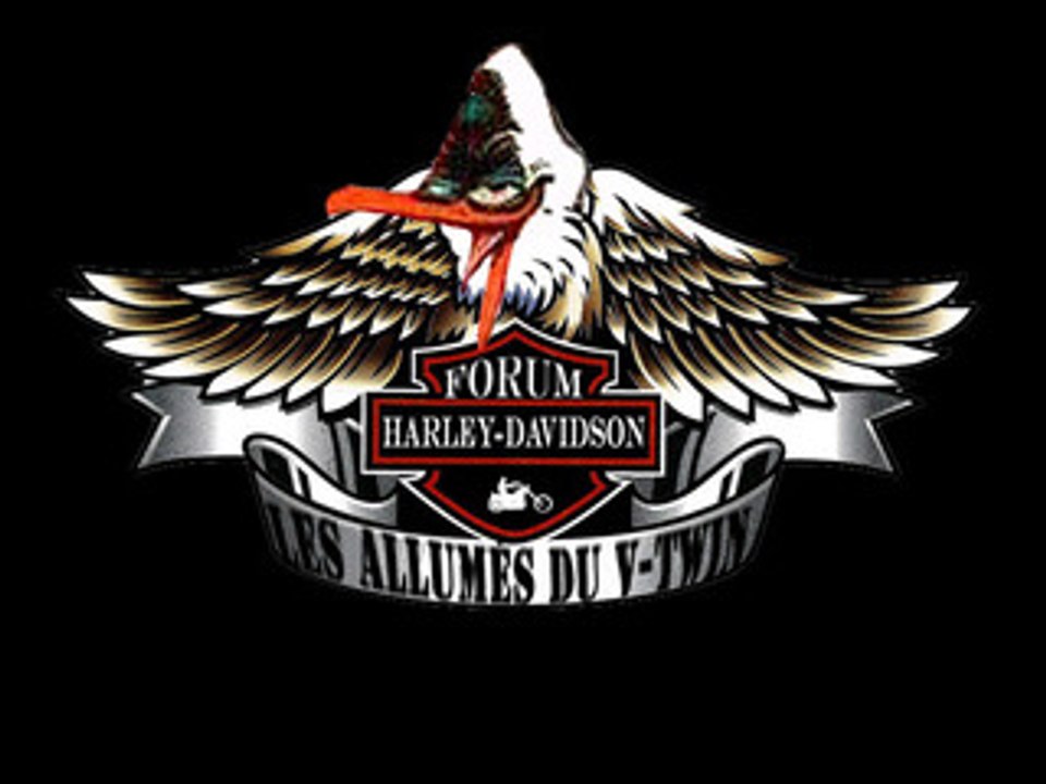 2008 ANNIVERSAIRE DU FORUM Les photos de Gégé64