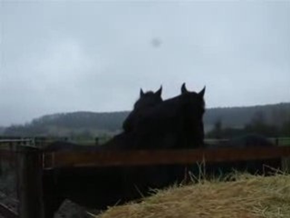 Dark Udo et Toeke copains