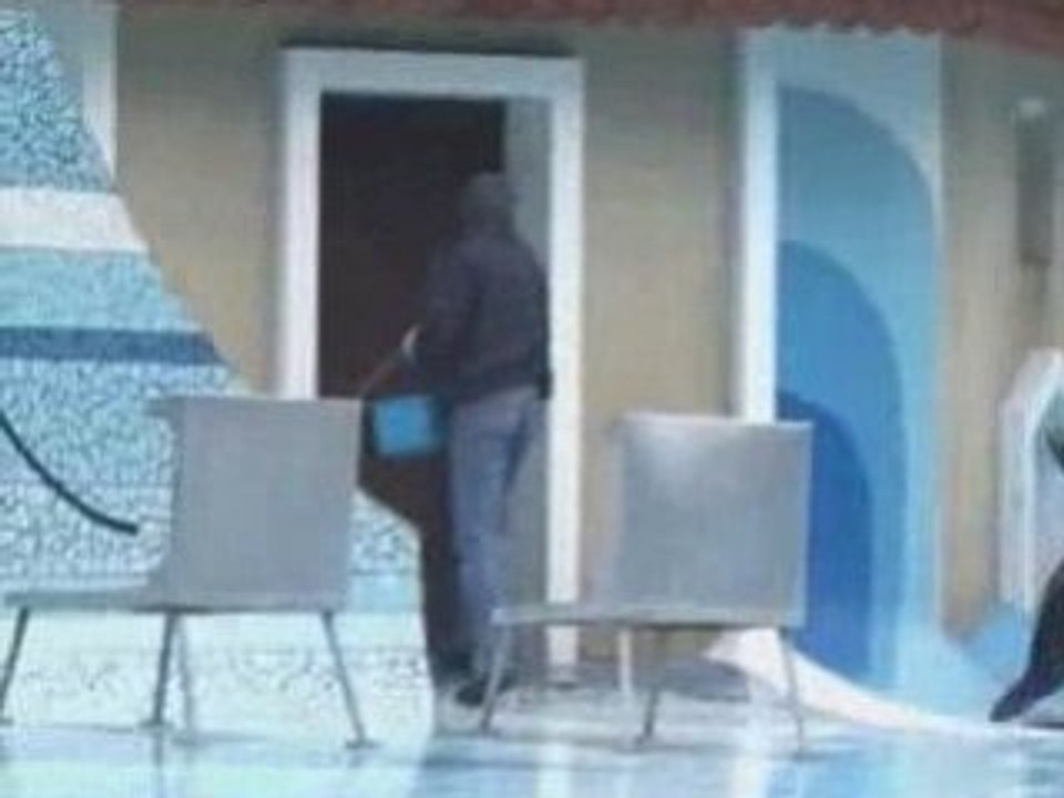 Déplacement des deux otaries mâles du zoo de La Palmyre