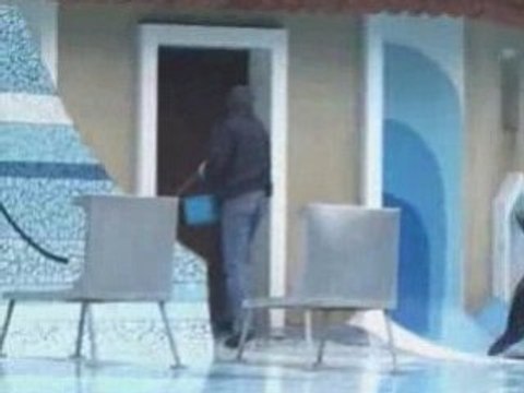 Déplacement des deux otaries mâles du zoo de La Palmyre