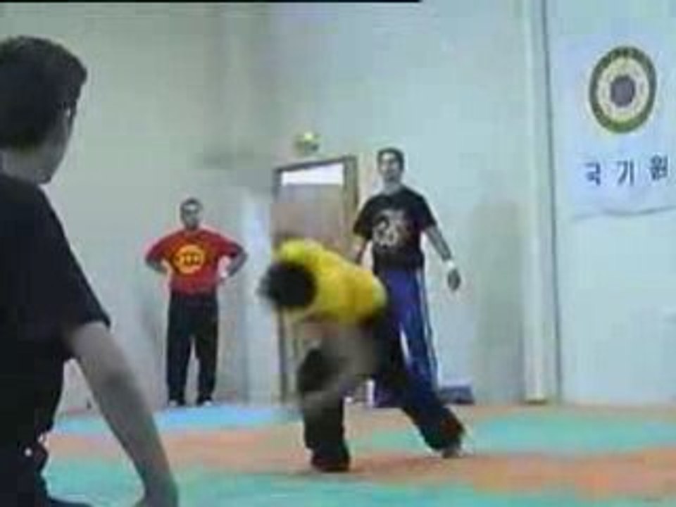 Taekwondo - fly kick
