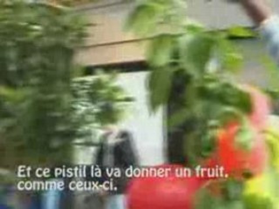 La Cité en alternance