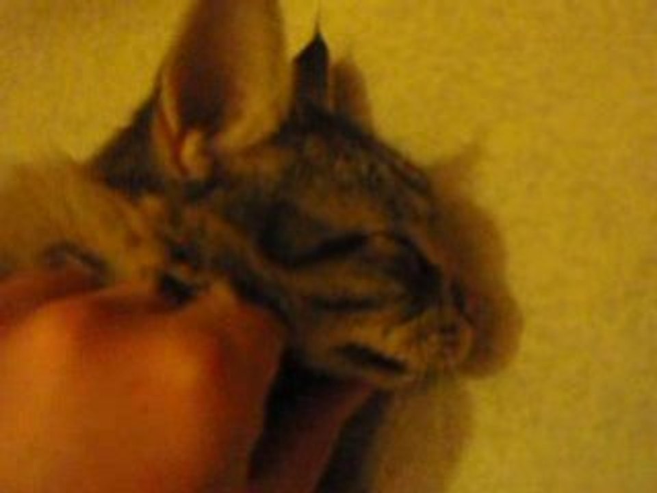 Petit câlin