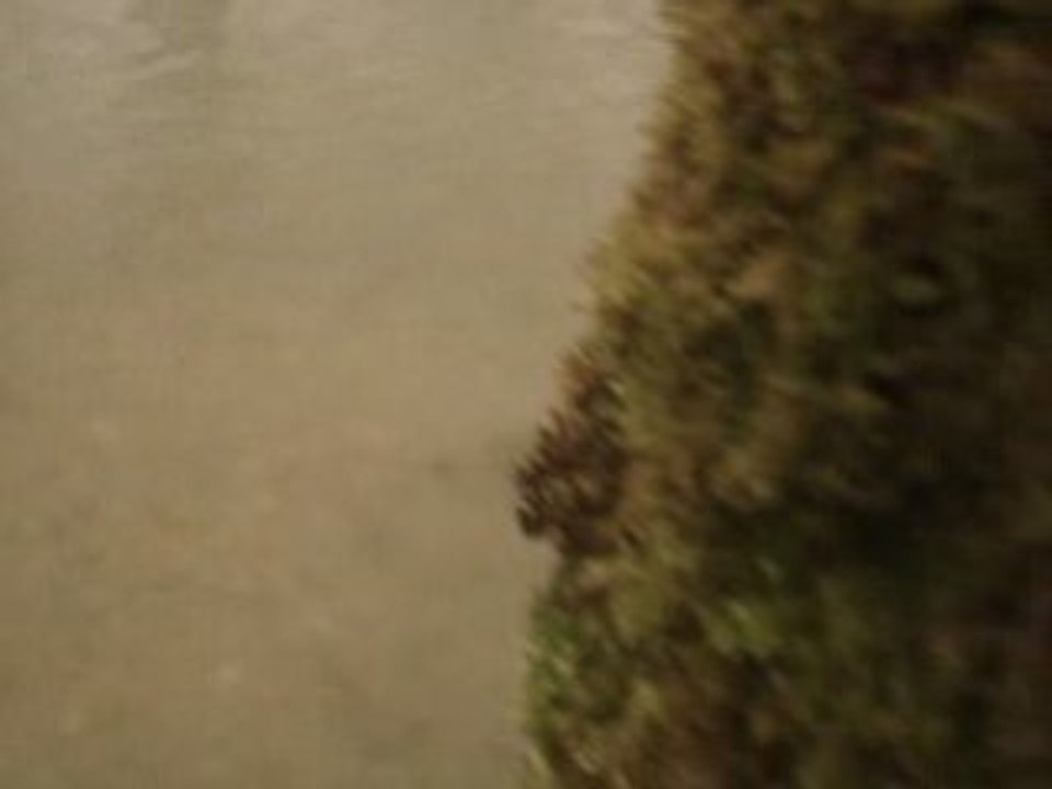 Fraie Truite 2008 Til-Châtel