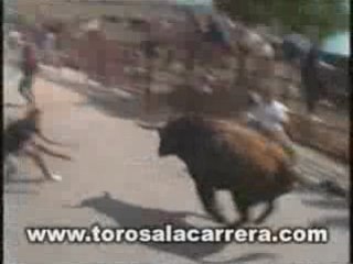 Encierros en El Molar (Madrid) 2003