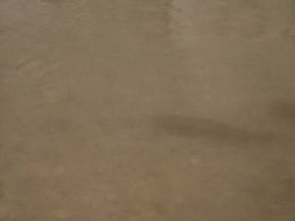 Fraie Truite 2008 Til-Châtel