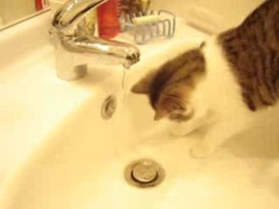 MOV02474