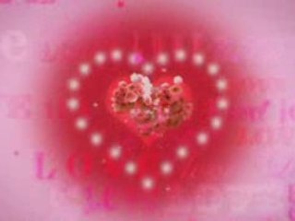 JE T'M TOUT COURT-SHORTSTV