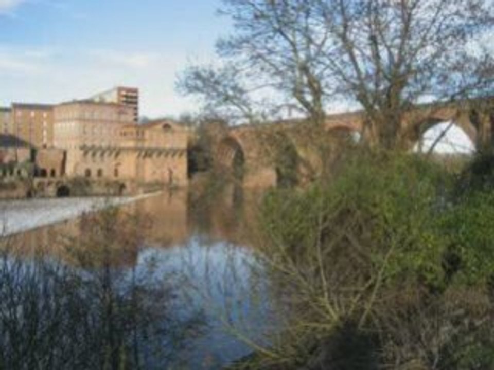 Albi visi