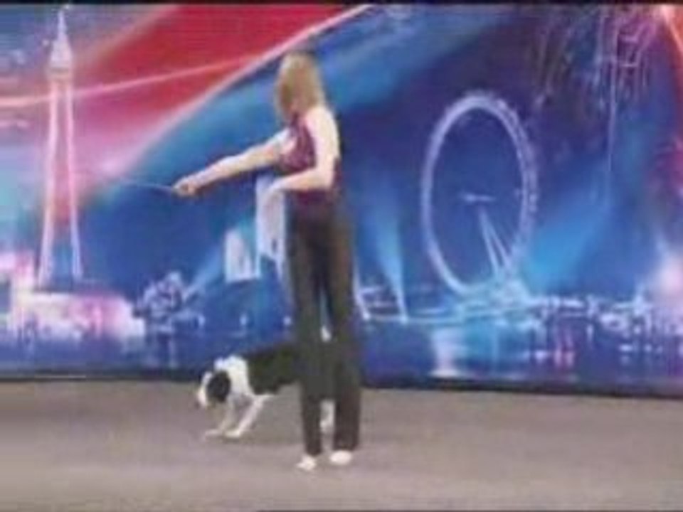 Hund kann Tanzen