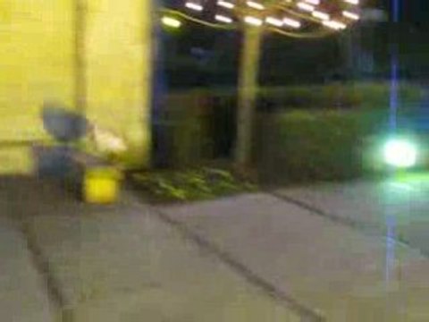 rémi gaillard imitation