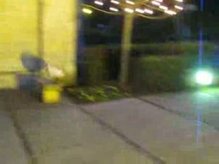 rémi gaillard imitation