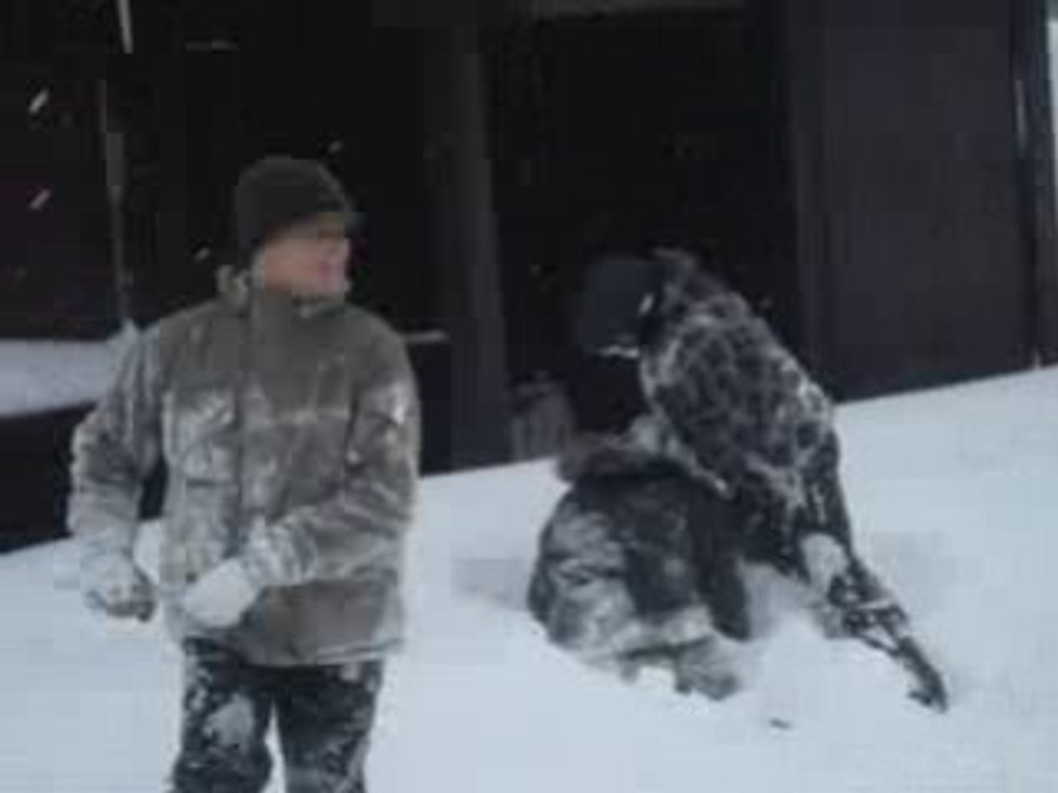 Les FB et la neige