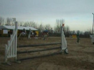 Concours a St-Romain ( Cindy & Lutteur)