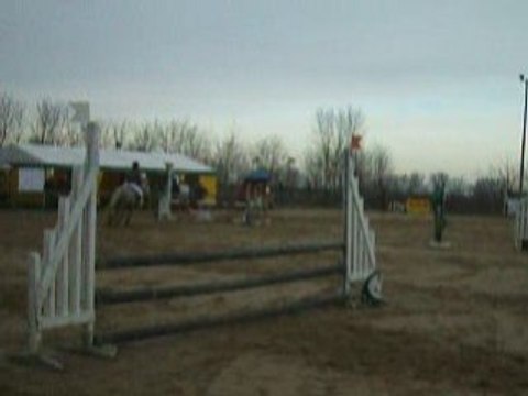 Concours a St-Romain ( Cindy & Lutteur)