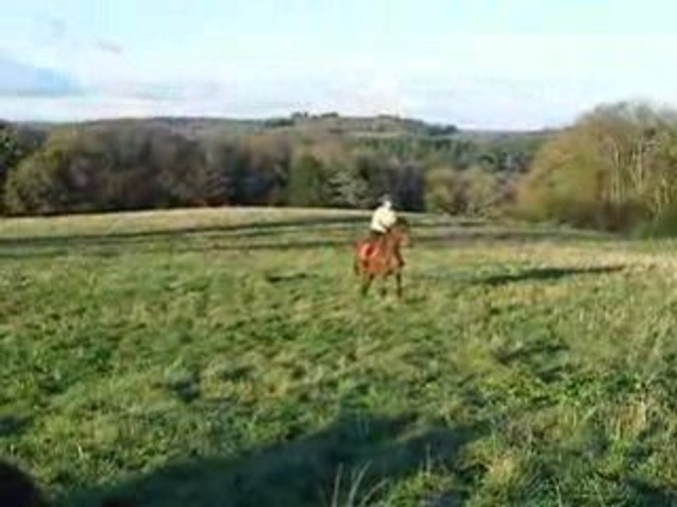 Moi fronfron et marine et zézétte le 14-12-08