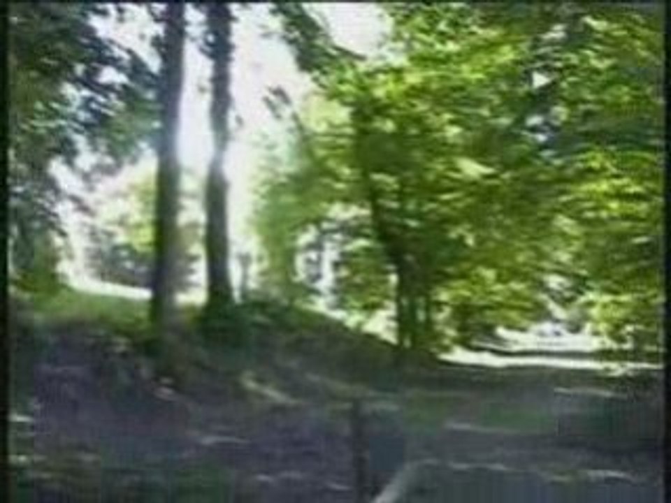 Xertigny Vosges.