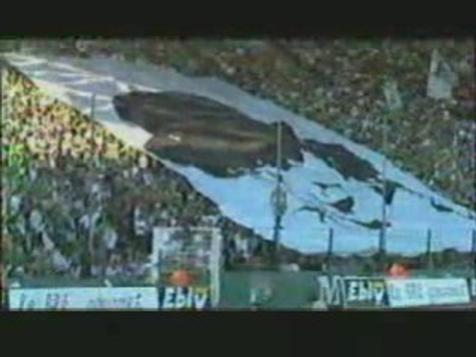 Magicfan10ans