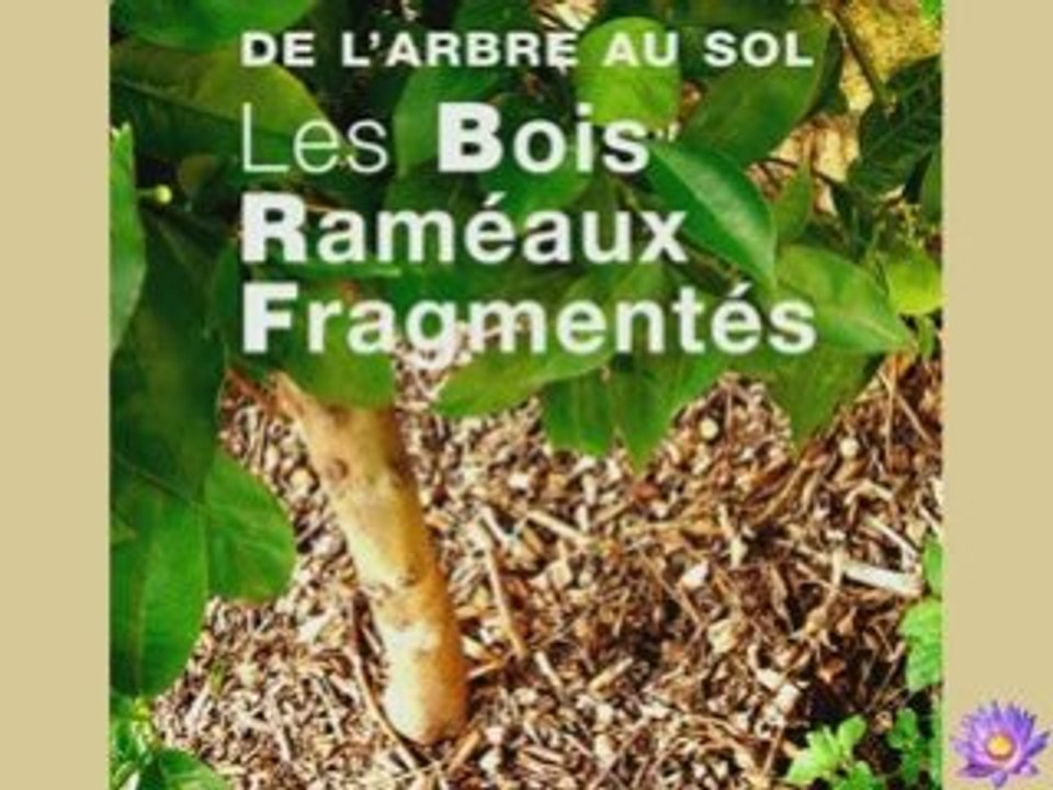 BRF - Jacky Dupety - interview 2/2