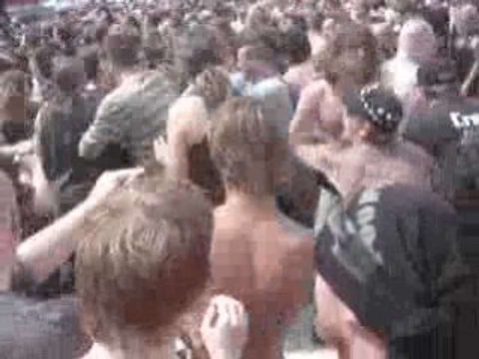 Pogo  sous le soleil_Hollande