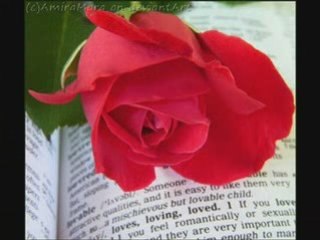 kadem saher To the first