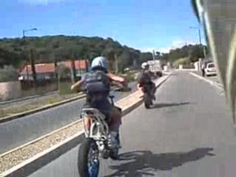 sherco top perf rose