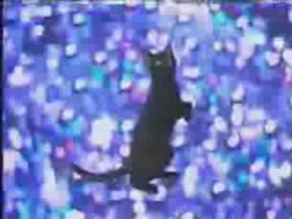 Chat-danse-chante